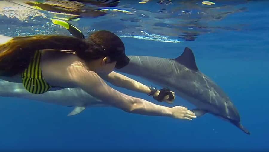 From Zanzibar: Mnemba Boat Trip Dolphins Adventure trip - The private boat ride to Mnemba Island (and how to prep)