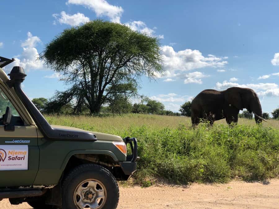 From Zanzibar: Nyerere National Park Game Drive with Lunch - Zanzibar airport to Mtemere airstrip: why this start matters