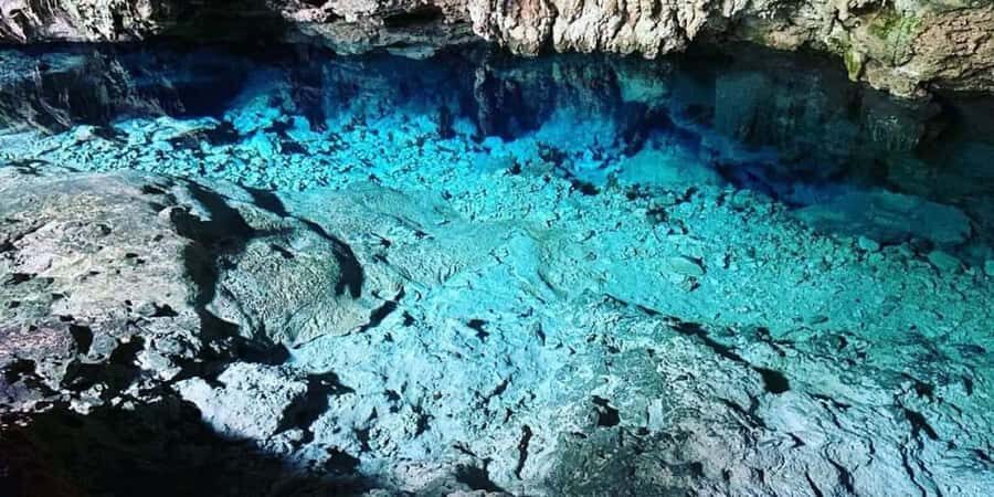 From Zanzibar: Starfish, Blue Lagoon, & The Rock Restaurant - Starfish Beach: sea stars, white sand, and the easiest way to spot reef life