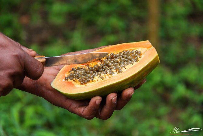 Fruits & Spices Adventure - Value check: price, duration, and what you truly get