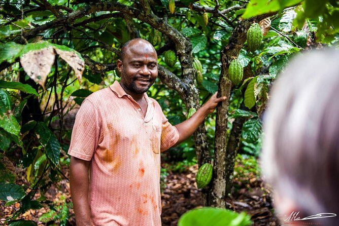 Fruits & Spices Adventure - Getting to Jambo Spice Farm and what the first tastings feel like
