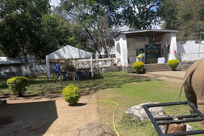 Full Day Arusha City Tour - National Natural History Museum and Boma Museum Focus: Fossils, Minerals, and a 600-Year-Old Tortoise Mention
