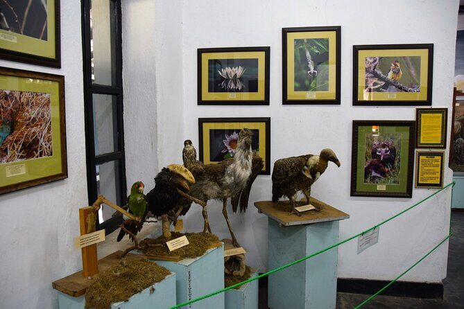 Full Day Arusha City Tour - Maasai Market: Curios, Crafts, and How to Shop Without Feeling Rushed