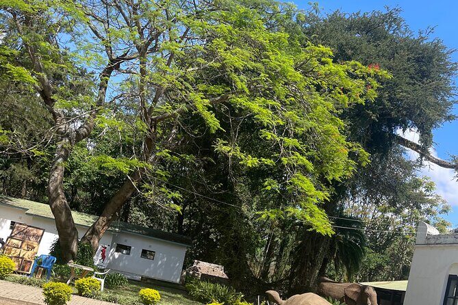 Full Day Arusha City Tour - Timing, Pacing, and How to Make the Day Feel Easy