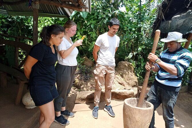 Full Day Materuni Water Falls, Hiking and Coffee Making Tour in Moshi - Key Highlights You Should Actually Care About