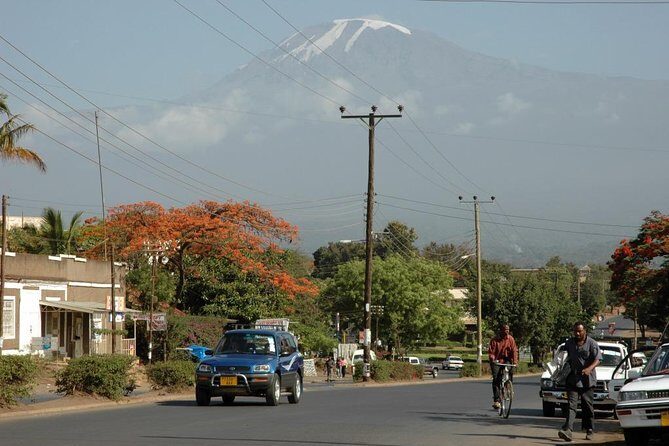 Full-Day Moshi Private Forest Walk and Local Market Tour - Key highlights at a glance
