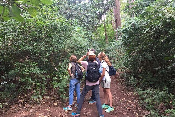 Full-Day Moshi Private Forest Walk and Local Market Tour - Coffee Region Insights: Why Moshi Feels Coffee-Centered