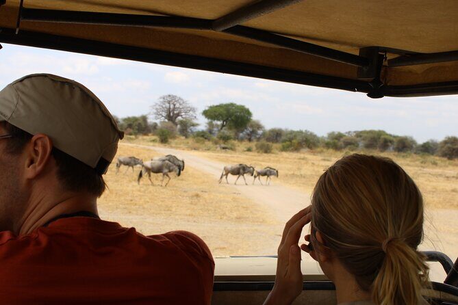 Full-Day Ngorongoro Crater private tour - The full-day timing: 07:00 out, 15:00 back, 18:00 drop-off