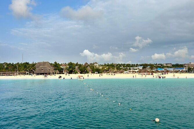 Full Day Private Mnemba Island + Turtles Aquarium & Kendwa Beach - How to get the most out of dolphins and snorkeling (without fighting the day)