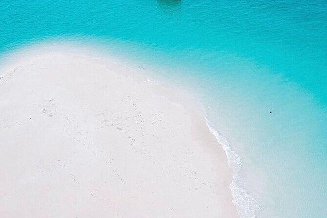 Full Day Private Mnemba Island + Turtles Aquarium & Kendwa Beach - Who this tour is best for (and who should think twice)