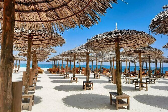 Full Day Private Mnemba Island + Turtles Aquarium & Kendwa Beach - Should you book this Mnemba + turtles + Kendwa day?