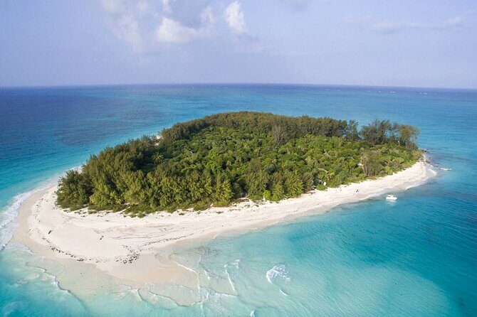 Full - Day Private Zanzibar Tour with dolphins & Sunset Beach - Key highlights you’ll actually care about