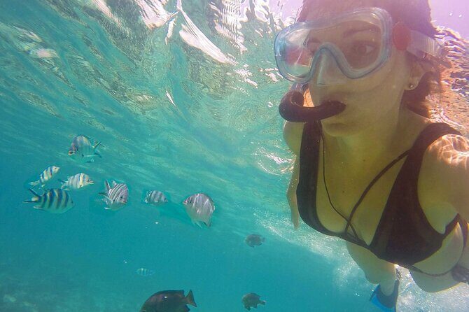 Full - Day Private Zanzibar Tour with dolphins & Sunset Beach - Mnemba Island Atoll snorkeling: where the marine life has the stage