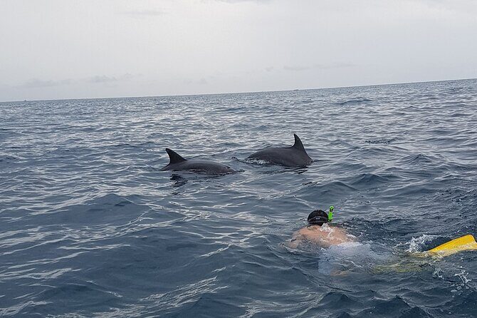 Full - Day Private Zanzibar Tour with dolphins & Sunset Beach - Practical tips to make the day smoother