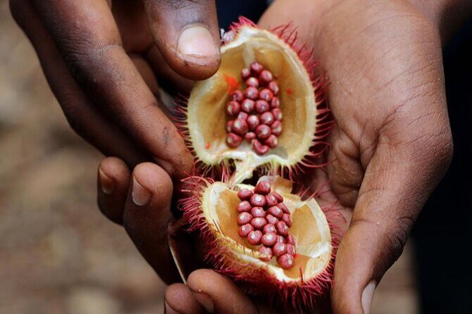 Full Day Private Zanzibar Triple Delight Tour - Forodhani Gardens: the waterfront reset (and food timing)