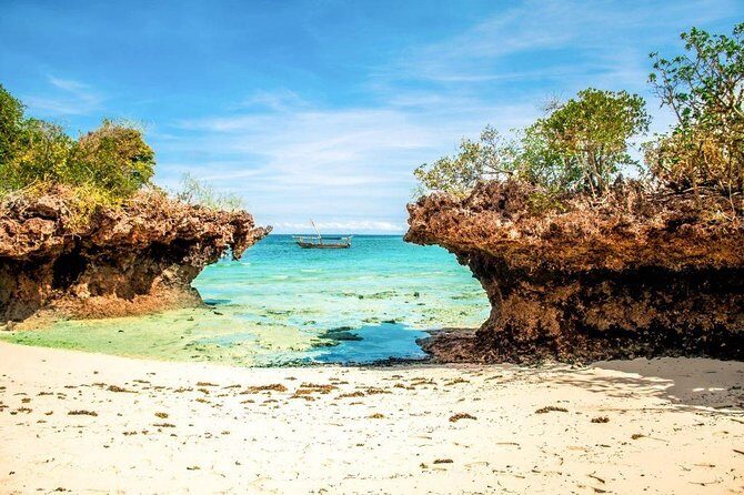 Full-day Safari Blue Trip in Zanzibar with Lunch buffet - Coral Reef Snorkeling: More Fish, Less DIY Stress