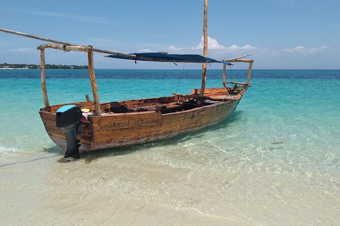 Full-day Safari Blue Trip in Zanzibar with Lunch buffet - Mangrove Lagoon Snorkel: Where the Scenery Does a Lot of the Work