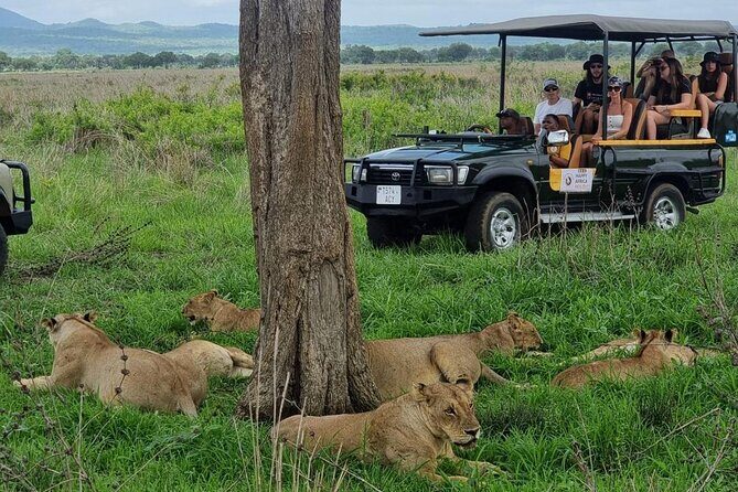 Full-Day Safari Tour from Mikumi National Park of Zanzibar - Quick highlights