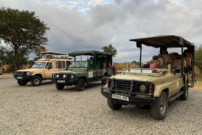 Full-Day Safari Tour from Mikumi National Park of Zanzibar - Lunch in the middle of the bush day (and what’s included)