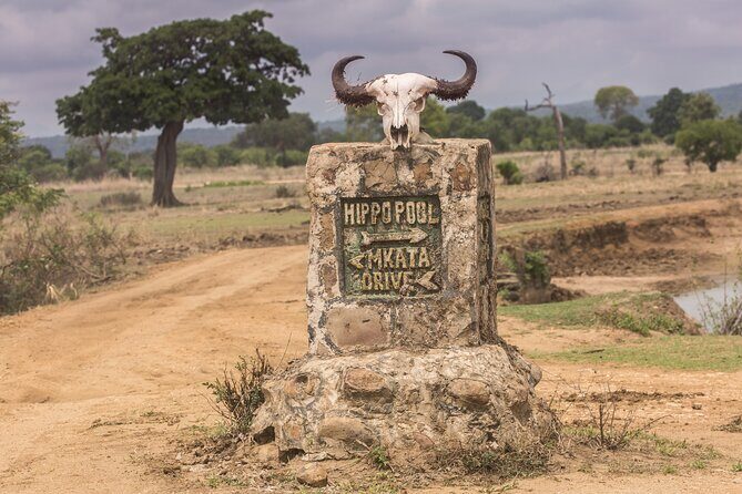 Full-Day Safari Tour from Mikumi National Park of Zanzibar - Price and value: what $550 is really paying for