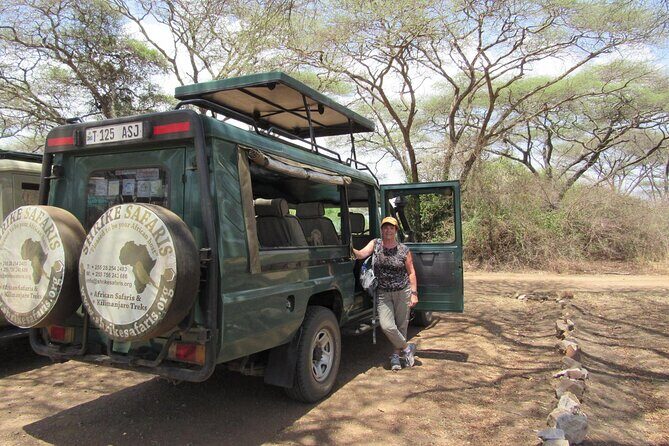Full-Day Serengeti Tour from Mwanza - The booking decision: should you go?