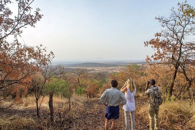 Full-Day Serengeti Tour from Mwanza - The picnic lunch inside the park: fueled for the afternoon