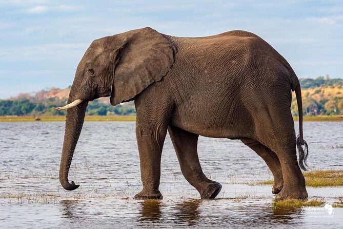 Full Day To Arusha National Park - The big decision: Big Five expectations vs Arusha’s real strengths