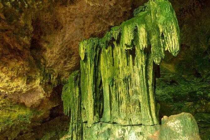 Full-day Tour Mnemba Jozani Forest Kuza Cave Paje Beach The Rock - Jozani Chwaka Bay Forest: Red colobus spotting in a real national park