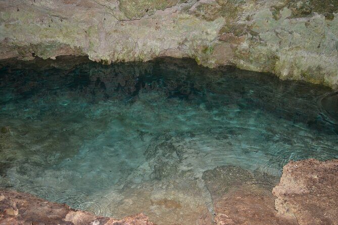 Full-day Tour Mnemba Jozani Forest Kuza Cave Paje Beach The Rock - Paje Beach: Real downtime after caves and forests