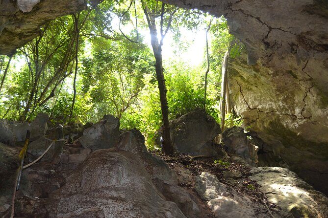 Full-day Tour Mnemba Jozani Forest Kuza Cave Paje Beach The Rock - Price and value: what $140 covers in an 8-hour day
