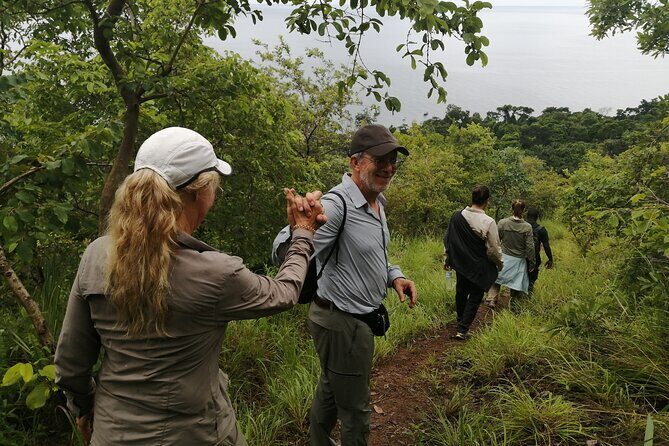 Gombe National Park Chimpanzee Trekking - How the private 5-to-8-hour day really unfolds