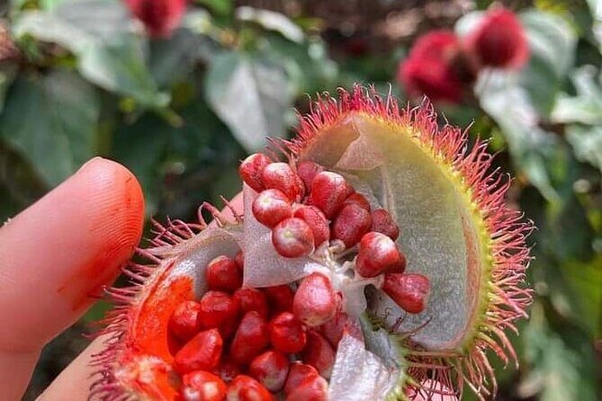 Half-Day Private Spice Tour in Kizimbani Farms, Zanzibar - Key Things I’d Put on Your Radar