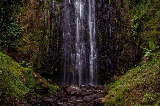 Half-Day Private Tour to Materuni Waterfalls and Coffee excursion - Coffee tour on a local farm: learn the story, then make your own cup