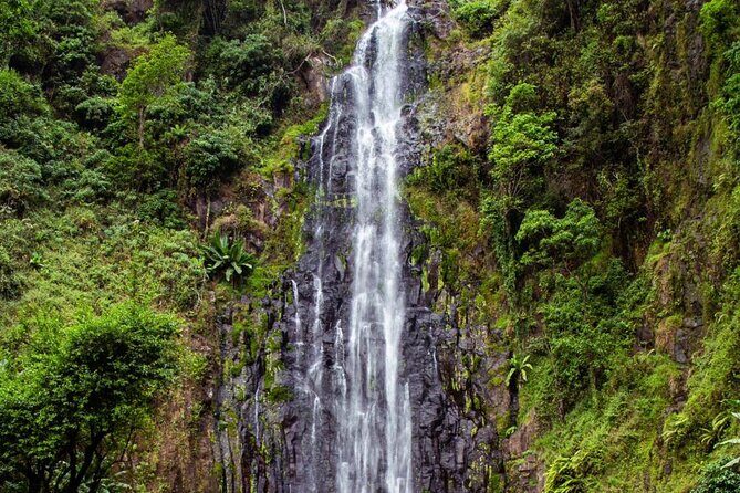 Half-Day Private Tour to Materuni Waterfalls and Coffee excursion - $68 private value in Moshi: what you really get for the price