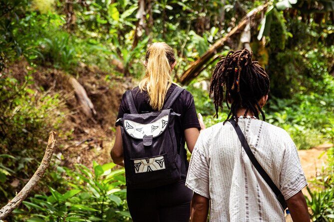Half-Day Private Tour to Materuni Waterfalls and Coffee excursion - Weather, cloud cover, and the Kilimanjaro odds