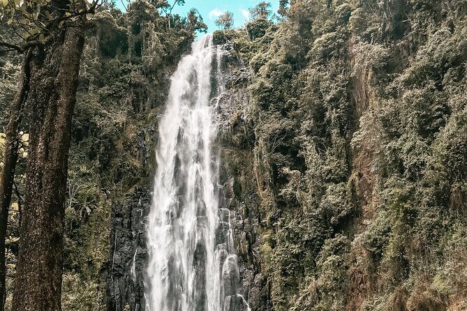 Half-Day Private Tour to Materuni Waterfalls and Coffee excursion - Practical tips: walking time, swimming reality, and comfort