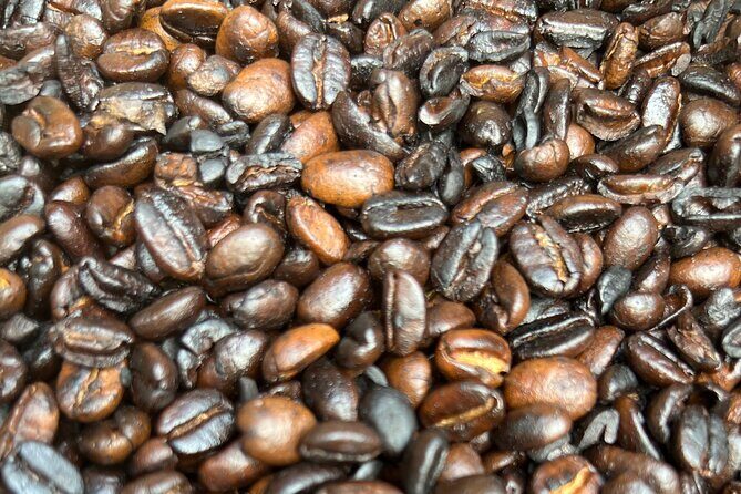 Half-Day Private Tour to Materuni Waterfalls and Coffee excursion - The Chagga village walk: farming, daily life, and what you’ll notice