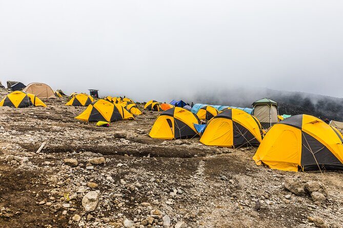 Hiking Mt Kilimanjaro 7 days scenic route & moderate challenge - Start in Arusha (1,400m): the Machame Village and gate day reality check
