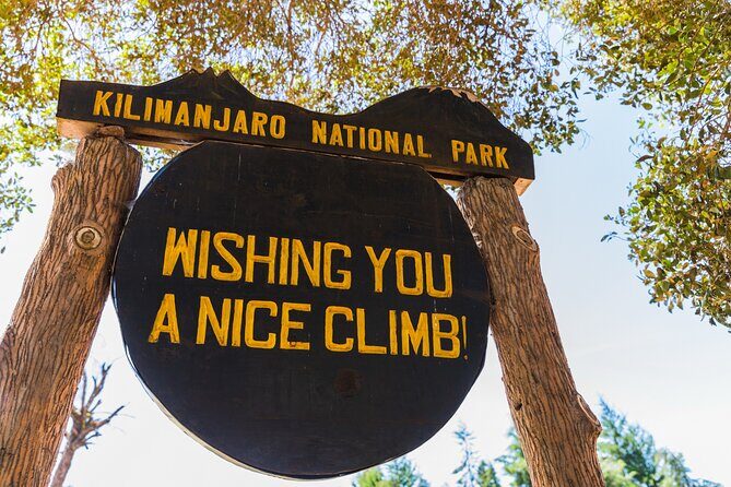 Hiking Mt Kilimanjaro 7 days scenic route & moderate challenge - Day 2: Shira Camp (3,840m) via moorland and a first glacier view