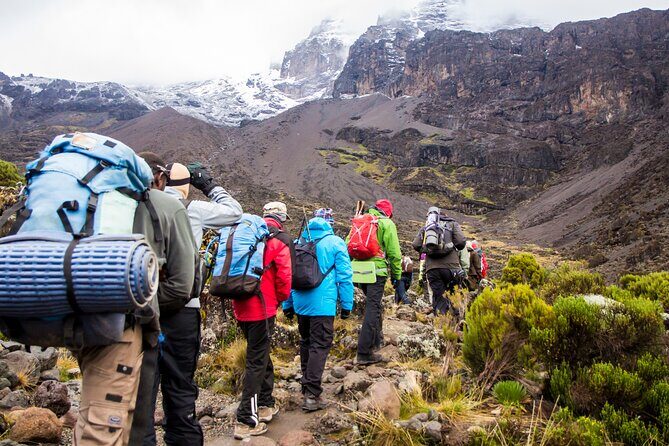 Hiking Mt Kilimanjaro 7 days scenic route & moderate challenge - Price and value: what $2,650.16 covers (and what that means for you)