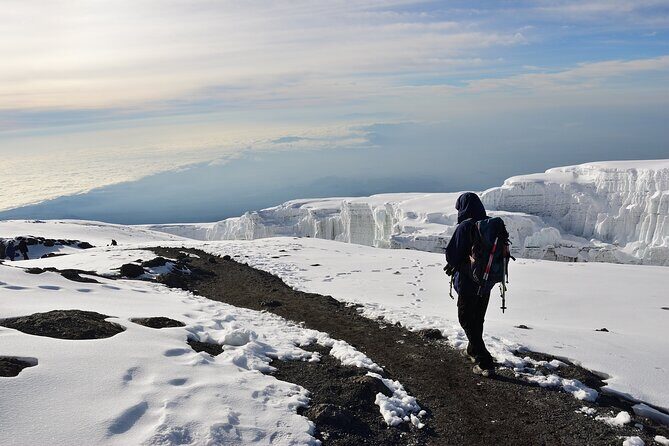 Hiking Mt Kilimanjaro 8 days, the most scenic route up Kili - Why the Lemosho route up Kilimanjaro is the smart scenic choice