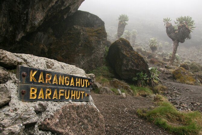 Hiking Mt Kilimanjaro 8 days, the most scenic route up Kili - Day 6, Barafu Hut: finishing the south circuit and staring at Kibo and Mawenzi