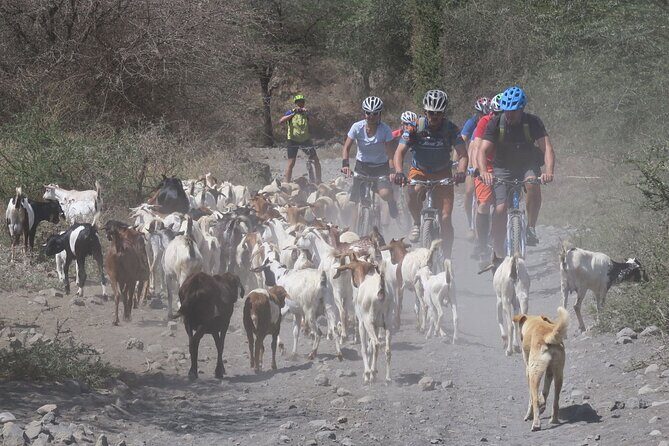 Hot Springs Bike tour - Morning Pickup and the Ride Out of Moshi