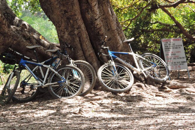 Hot Springs Bike tour - Your Time at the Water: Swim, Sun, and a Local Pace
