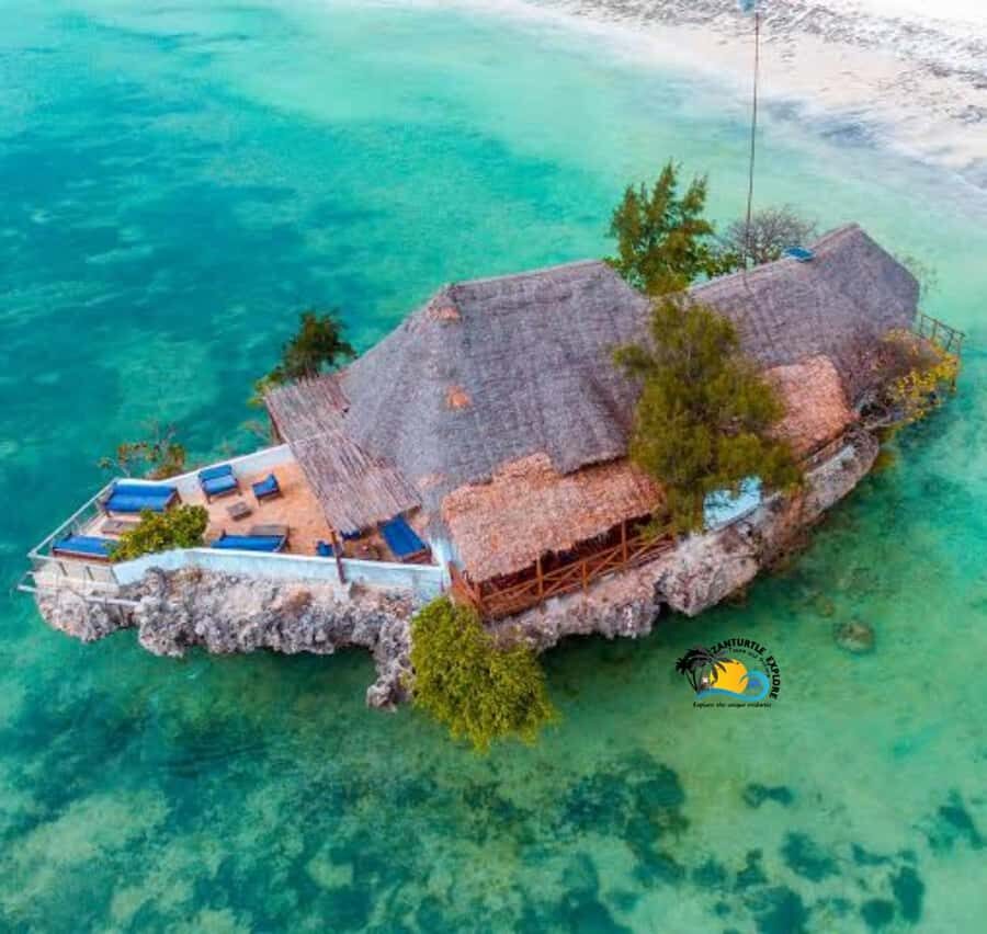 Jozani Forest, Kuza Cave, Salaam Caves & The Rock Restaurant - Why this one-day Zanzibar mix works so well