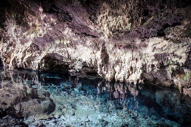Jozani Forest Kuza Cave The Rock Restaurant and Paje Beach - What’s the real value for $135 per person?