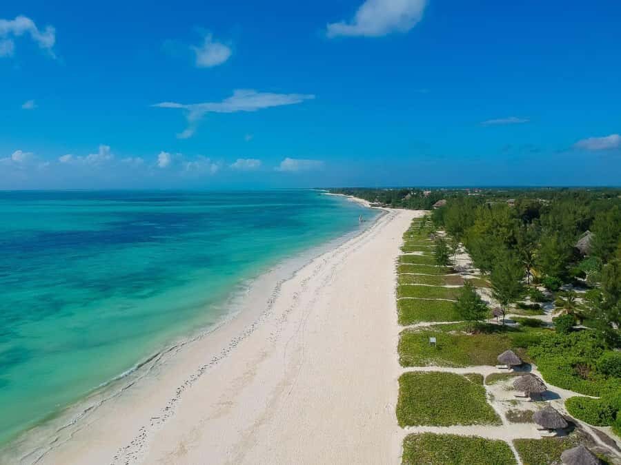 Jozani Forest & Paje Beach Trip with The Rock Restaurant - Who This Trip Suits Best (and Who Should Skip It)