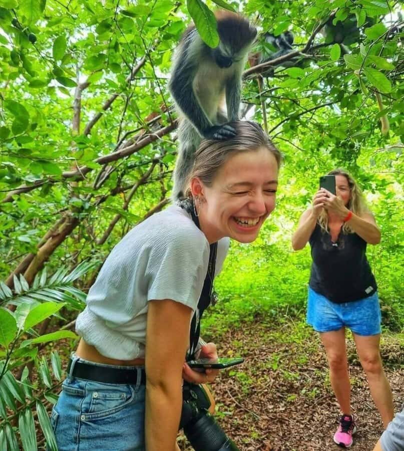 Jozani Forest, Sea Turtles, Blue Lagoon, Starfish & The Rock - Key highlights at a glance