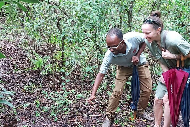 Jozani Forest Tour - Zanzibar Butterfly Centre: A Netted Garden with Real Learning