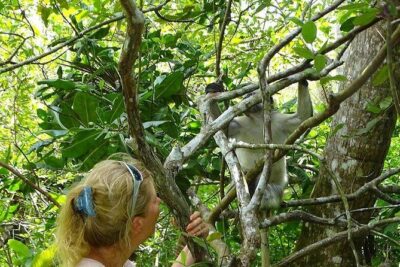 Jozani Forest Tour - Mangrove boardwalk: when the air changes and the scenery gets quieter